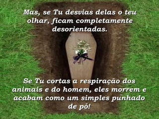 Mas, se Tu desvias delas o teu olhar, ficam completamente desorientadas. Se Tu cortas a respiração dos animais e do homem, eles morrem e acabam como um simples punhado de pó! 
