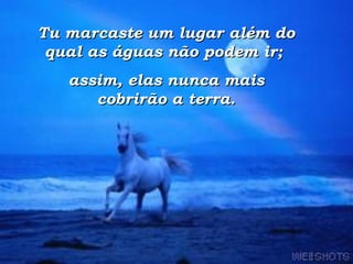 Tu marcaste um lugar além do qual as águas não podem ir;  assim, elas nunca mais cobrirão a terra. 