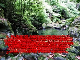 Salmo 107 35-   Por outro lado, transforma o sertão quente e seco em lago,  o deserto em fontes de água.  36-   Dá aos pobres e famintos essa nova terra, para ali construírem sua cidade.  37-   Lá, eles semeiam os cereais e plantam uvas. Depois, têm colheitas enormes.  38-   O Senhor abençoa essa gente humilde e eles crescem muito em número e possuem muito gado.  39-   No entanto, por causa de seu pecado, perderam sua força e poder, voltaram a ser poucos em número.  Foram humilhados com exploração, grandes problemas e muito sofrimento.  40-   O Senhor despreza os príncipes orgulhosos e faz com que eles andem sem destino por terras desconhecidas,  onde nem sequer existem estradas.  41-   No entanto, livra da escravidão  o humilde.  Dá a ele um lugar seguro onde viver  e uma grande família.  42-   Os que obedecem a Deus vêem essas coisas e se alegram, enquanto os pecadores desobedientes ficam  sem resposta.  43-   Se você é uma pessoa sensata,  preste bastante atenção no que eu disse! Pense no amor fiel e cuidadoso do Senhor para com os homens!  