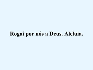 Rogai por nós a Deus. Aleluia. 