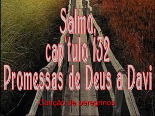 Salmo, capítulo 132 Promessas de Deus a Davi Canção de peregrinos 