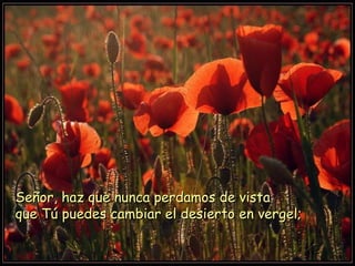 Señor, haz que nunca perdamos de vistaSeñor, haz que nunca perdamos de vista
que Tú puedes cambiar el desierto en vergel;que Tú puedes cambiar el desierto en vergel;
 