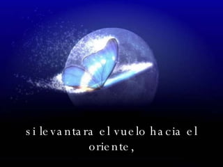 si levantara el vuelo hacia el oriente, 