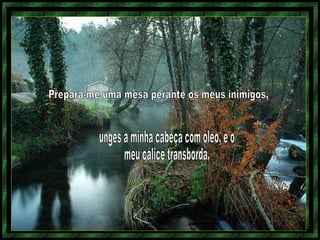 Prepara-me uma mesa perante os meus inimigos,  unges a minha cabeça com óleo, e o  meu cálice transborda. 