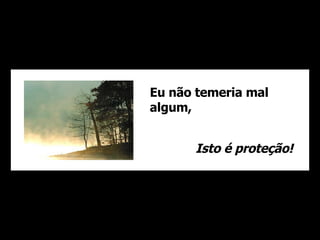 Eu não temeria mal algum, Isto é proteção! 