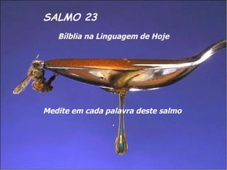 SALMO 23 Bílblia na Linguagem de Hoje Medite em cada palavra deste salmo   . 