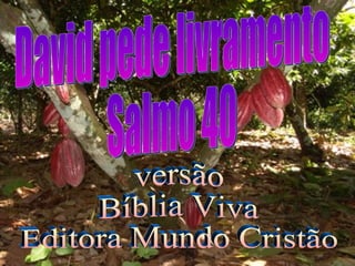David pede livramento Salmo 40 versão Bíblia Viva Editora Mundo Cristão 