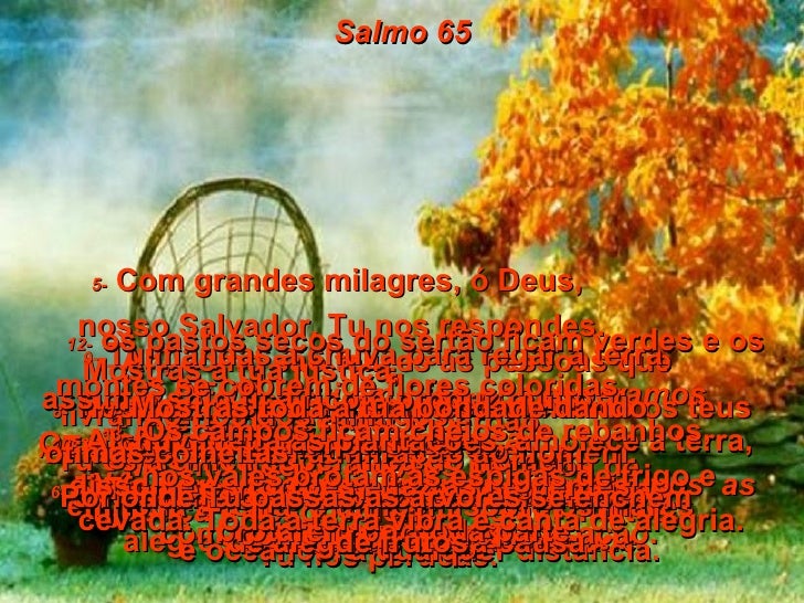 Salmo 65 a 67