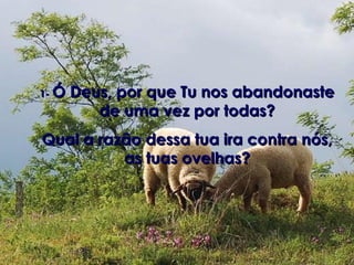 1-  Ó Deus, por que Tu nos abandonaste de uma vez por todas? Qual a razão dessa tua ira contra nós, as tuas ovelhas? 