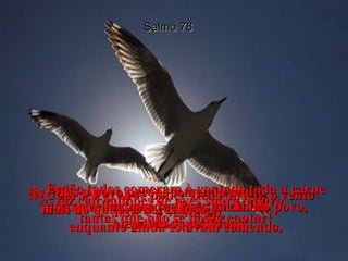Salmo 78 26 -  Com seu grande poder Deus dirigiu o vento leste e o vento sul,  27 -  fez cair milhões de aves sobre o povo,  tantas que não se podia contar!  28 -  As aves caíram junto às tendas do povo,  por todos os lados!  29 -  Então todos comeram à vontade toda a carne que queriam, porque Deus lhe tinha  atendido os pedidos.  30 -  Mas o povo pecou, comendo muito  mais do que era necessário;  enquanto ainda estavam comendo,  