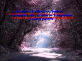Salmo 85 12-  O Senhor nos dará grandes bênçãos,  e a terra produzirá colheitas formidáveis. 13-   A justiça irá adiante do Senhor,  e preparará um caminho para seguirmos os seus passos. 