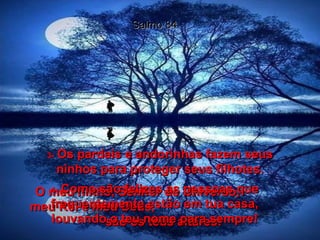 Salmo 84 3-   Os pardais e andorinhas fazem seus ninhos para proteger seus filhotes. O meu ninho, Senhor do Universo,  meu Rei e meu Deus,  são os teus altares! 4-   Como são felizes as pessoas que frequentemente estão em tua casa, louvando o teu nome para sempre! 