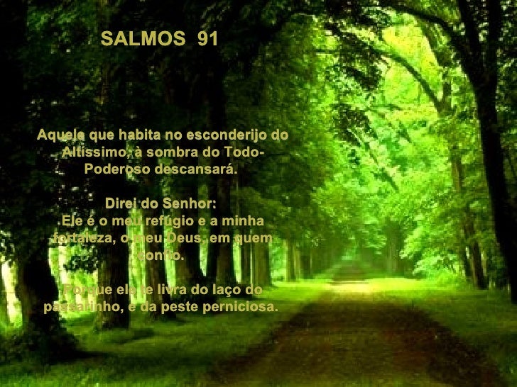 Aquele Que Habita No Esconderijo Do Altíssimo Salmo 91