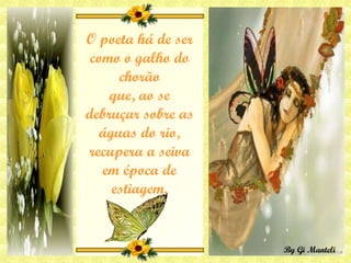 O poeta há de ser como o galho do chorão que, ao se debruçar sobre as águas do rio, recupera a seiva em época de estiagem. 