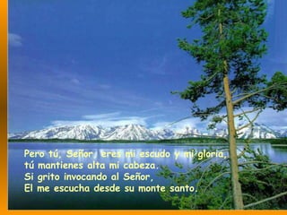 Pero tú, Señor, eres mi escudo y mi gloria, tú mantienes alta mi cabeza. Si grito invocando al Señor, El me escucha desde su monte santo. 