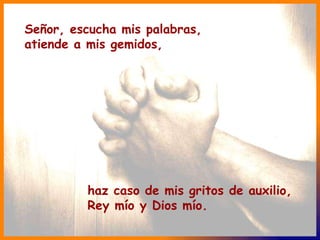 haz caso de mis gritos de auxilio, Rey mío y Dios mío. Señor, escucha mis palabras, atiende a mis gemidos, 