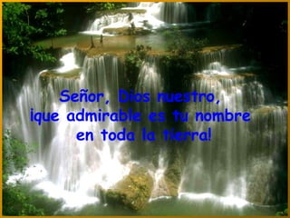 Señor, Dios nuestro,  ¡que admirable es tu nombre  en toda la tierra! 