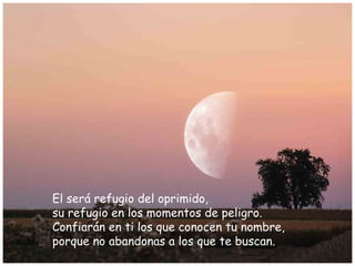 El será refugio del oprimido,
su refugio en los momentos de peligro.
Confiarán en ti los que conocen tu nombre,
porque no abandonas a los que te buscan.
 