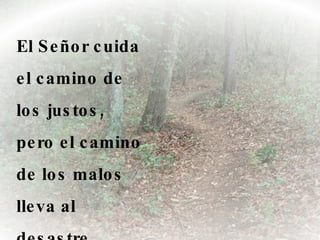 El Señor cuida el camino de los justos, pero el camino de los malos lleva al desastre.