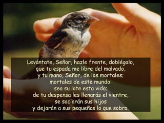 Levántate, Señor, hazle frente, doblégalo,
que tu espada me libre del malvado,
y tu mano, Señor, de los mortales;
mortales de este mundo:
sea su lote esta vida;
de tu despensa les llenarás el vientre,
se saciarán sus hijos
y dejarán a sus pequeños lo que sobra.
 