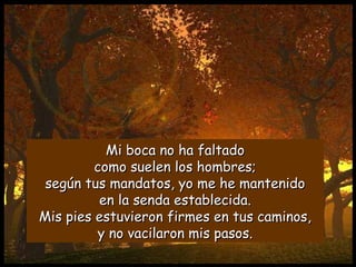 Mi boca no ha faltadoMi boca no ha faltado
como suelen los hombres;como suelen los hombres;
según tus mandatos, yo me he mantenidosegún tus mandatos, yo me he mantenido
en la senda establecida.en la senda establecida.
Mis pies estuvieron firmes en tus caminos,Mis pies estuvieron firmes en tus caminos,
y no vacilaron mis pasos.y no vacilaron mis pasos.
 