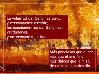 La voluntad del Señor es pura,
y eternamente estable;
los mandamientos del Señor son
verdaderos,
y enteramente justos.


                      Más preciosos que el oro,
                      más que el oro fino;
                      más dulces que la miel,
                      de un panal que destila.
 