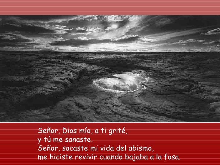 Resultado de imagen para Te ensalzaré, Señor, porque me has librado V/. Te ensalzaré, Señor, porque me has librado