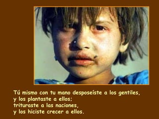 Tú mismo con tu mano desposeíste a los gentiles, y los plantaste a ellos; trituraste a las naciones, y los hiciste crecer a ellos. 