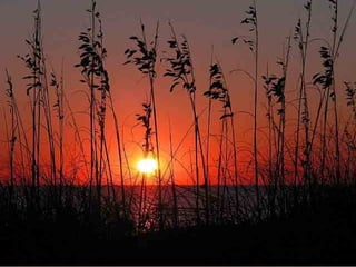 Los hombres no son más que un soplo,Los hombres no son más que un soplo,
los nobles son apariencia:los nobles son apariencia:
todos juntos en la balanza subiríantodos juntos en la balanza subirían
mas leves que un soplo.mas leves que un soplo.
 