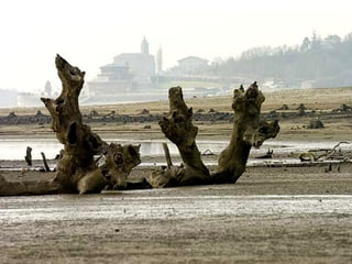 No confiéis en la opresión,No confiéis en la opresión,
no pongáis ilusiones en el robo;no pongáis ilusiones en el robo;
y aunque crezcan vuestras riquezas,y aunque crezcan vuestras riquezas,
no les deis el corazón.no les deis el corazón.
 