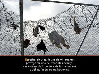 E scucha, oh Dios, la voz de mi lamento, protege mi vida del terrible enemigo; escóndeme de la conjura de los perversos y del motín de los malhechores: 