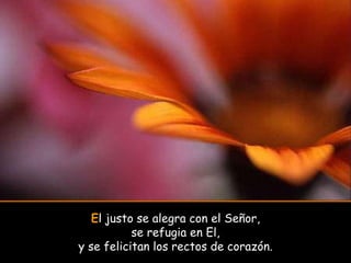 E l justo se alegra con el Señor, se refugia en El, y se felicitan los rectos de corazón. 