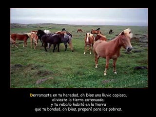 Derramaste en tu heredad, oh Dios una lluvia copiosa,
aliviaste la tierra extenuada;
y tu rebaño habitó en la tierra
que tu bondad, oh Dios, preparó para los pobres.
 