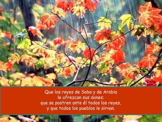 Que los reyes de Saba y de Arabia le ofrezcan sus dones; que se postren ante él todos los reyes, y que todos los pueblos le sirvan. 