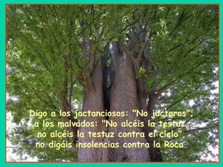 Digo a los jactanciosos: "No jactaros"; a los malvados: "No alcéis la testuz, no alcéis la testuz contra el cielo", no digáis insolencias contra la Roca. 