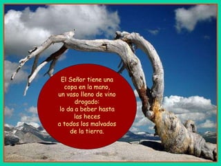 El Señor tiene una copa en la mano, un vaso lleno de vino drogado: lo da a beber hasta las heces a todos los malvados de la tierra. 