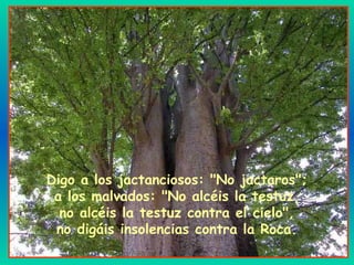 Digo a los jactanciosos: "No jactaros";
a los malvados: "No alcéis la testuz,
no alcéis la testuz contra el cielo",
no digáis insolencias contra la Roca.
 