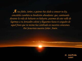 A tus fieles, Señor, a quienes has dado a conocer tu ley,
concédeles también tu bendición abundante: que, caminando
durante la vida de baluarte en baluarte, pasemos de este valle de
lágrimas a tu Jerusalén celeste y lleguemos hasta ti cargados de
aquel fruto que tú mismo has sembrado en nuestros corazones.
Por Jesucristo nuestro Señor. Amén.
 