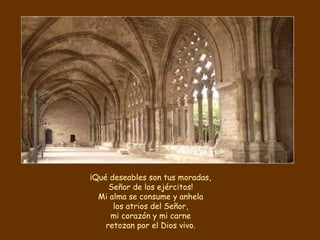 ¡Qué deseables son tus moradas,
Señor de los ejércitos!
Mi alma se consume y anhela
los atrios del Señor,
mi corazón y mi carne
retozan por el Dios vivo.
 