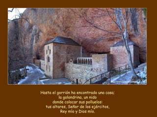 Hasta el gorrión ha encontrado una casa;
la golondrina, un nido
donde colocar sus polluelos:
tus altares, Señor de los ejércitos,
Rey mío y Dios mío.
 