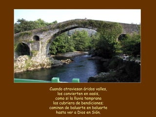 Cuando atraviesan áridos valles,
los convierten en oasis,
como si la lluvia temprana
los cubriera de bendiciones;
caminan de baluarte en baluarte
hasta ver a Dios en Sión.
 