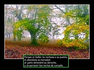 Porque el Señor no rechaza a su pueblo, ni abandona su heredad: el justo obtendrá su derecho, y un porvenir los rectos de corazón. 