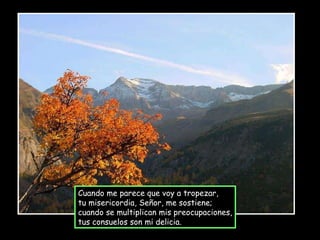 Cuando me parece que voy a tropezar, tu misericordia, Señor, me sostiene; cuando se multiplican mis preocupaciones, tus consuelos son mi delicia. 