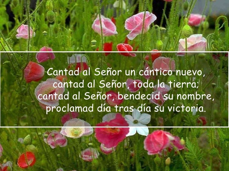 Resultado de imagen para contad las maravillas del Señor a todas las naciones Cantad al Señor un cántico nuevo,