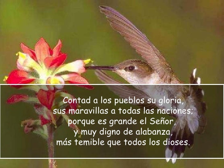 Resultado de imagen para Contad las maravillas del Señor a todas las naciones Cantad al Señor un cántico nuevo,