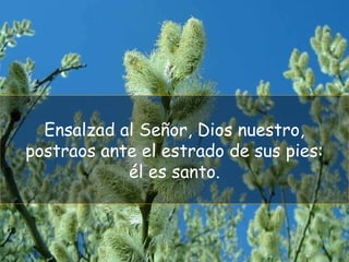 Ensalzad al Señor, Dios nuestro,
postraos ante el estrado de sus pies:
él es santo.
 