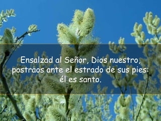 Ensalzad al Señor, Dios nuestro,
postraos ante el estrado de sus pies:
él es santo.
 
