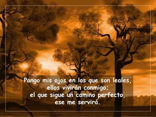 Pongo mis ojos en los que son leales, ellos vivirán conmigo; el que sigue un camino perfecto, ese me servirá. 