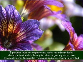El perdona todas tus culpas y cura todas tus enfermedades; el rescata tu vida de la fosa, y te colma de gracia y de ternura; él sacia de bienes tus anhelos, y como un águila se renueva tu juventud. 