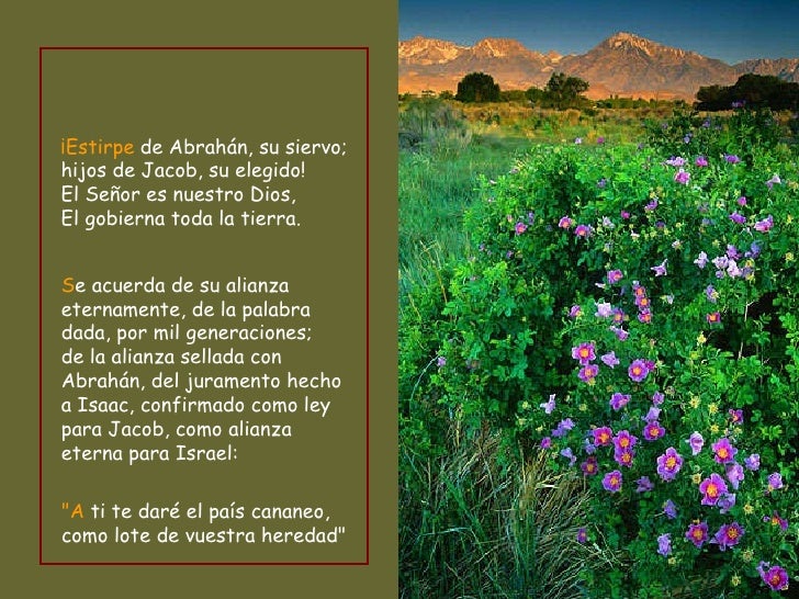 Resultado de imagen para El Señor se acuerda de su alianza eternamente V/. Recurrid al Señor y a su poder,
